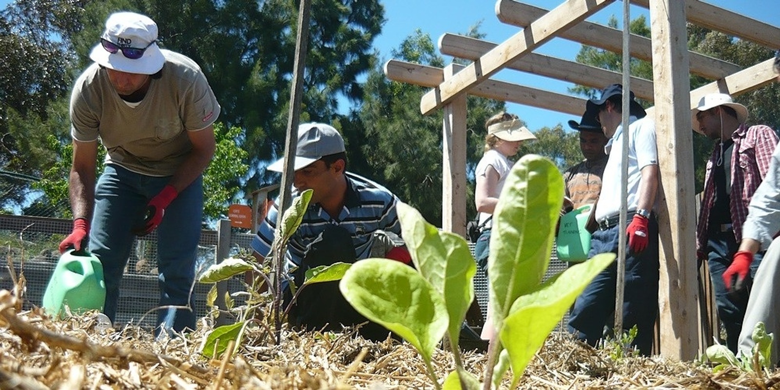 Banner image for  Introduction to Horticulture and Permaculture