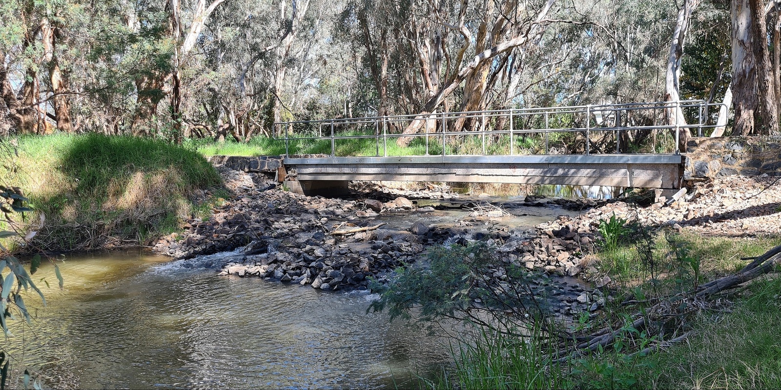 Banner image for Working Bee Ian Geddes Reserve