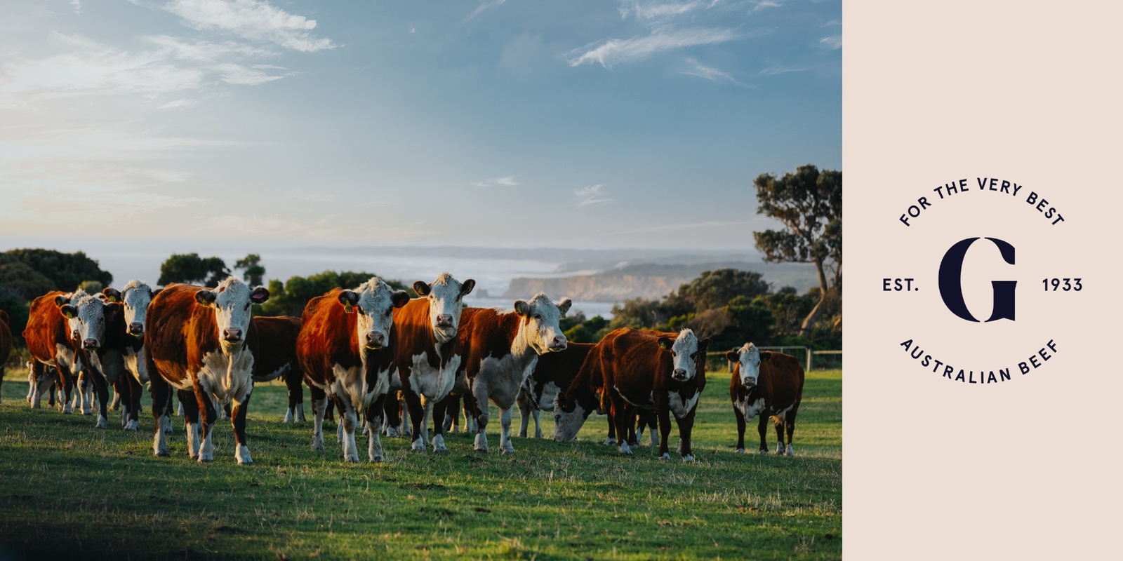 Banner image for Greenham Beef Producer Updates - King Island