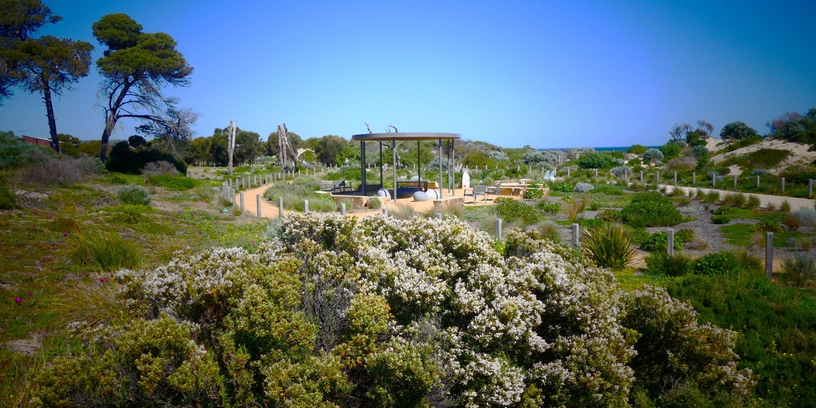 Banner image for Butterfly and Bird Walk - Minda Dunes