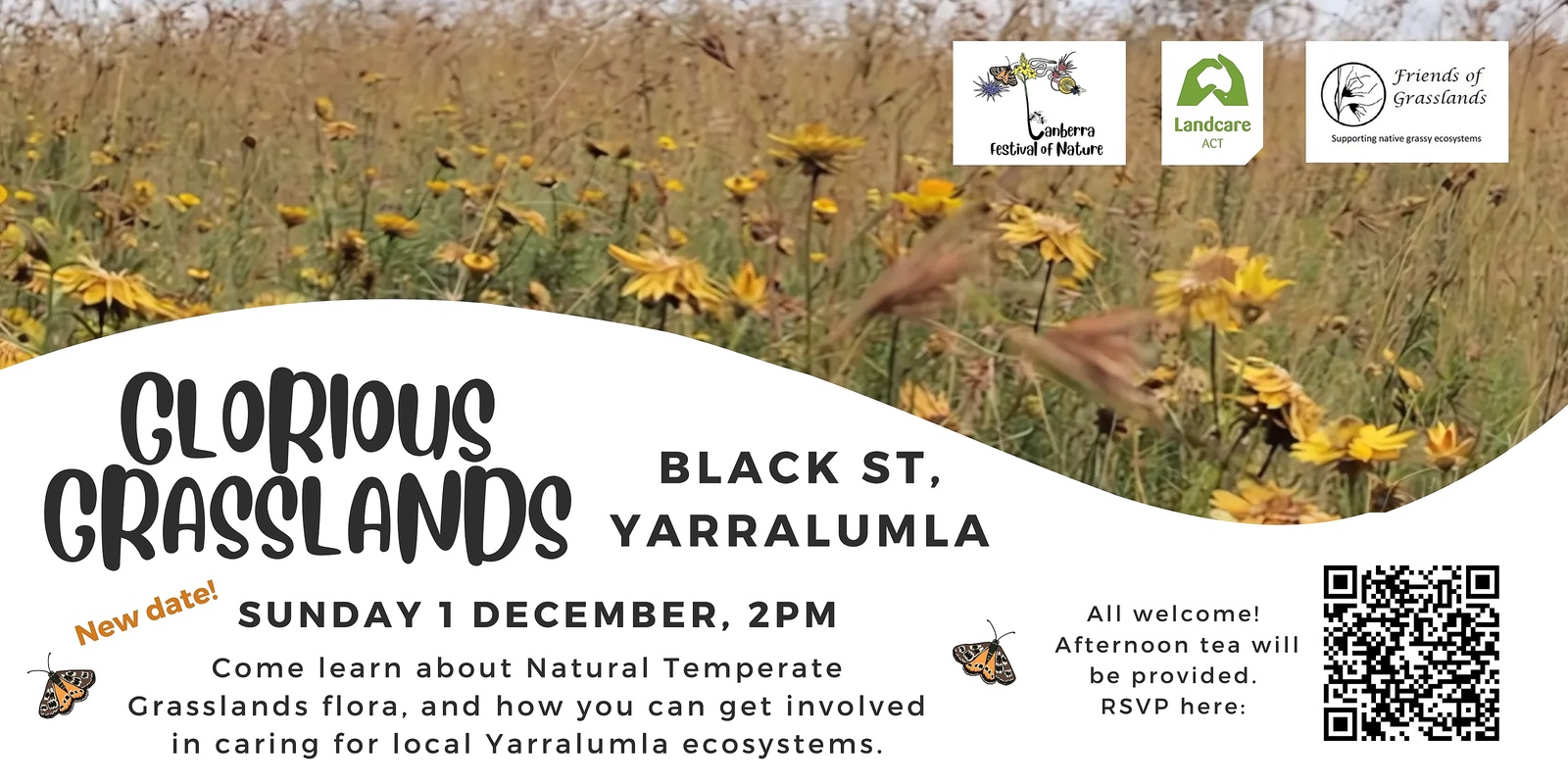 Banner image for Glorious Grasslands of Yarralumla - 1 Dec