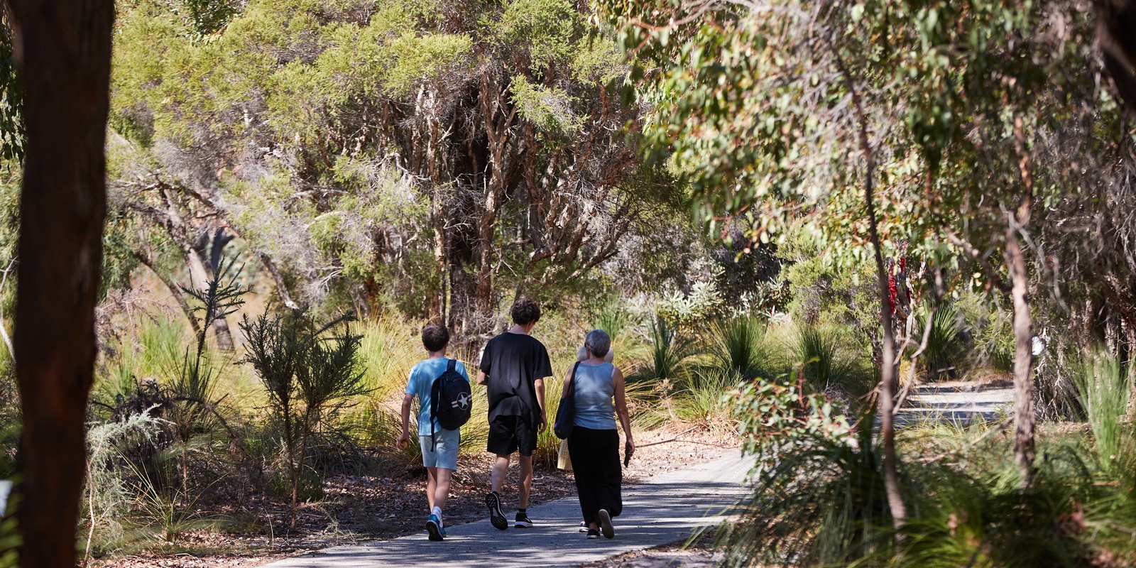 Banner image for Trees: the Best Prescription