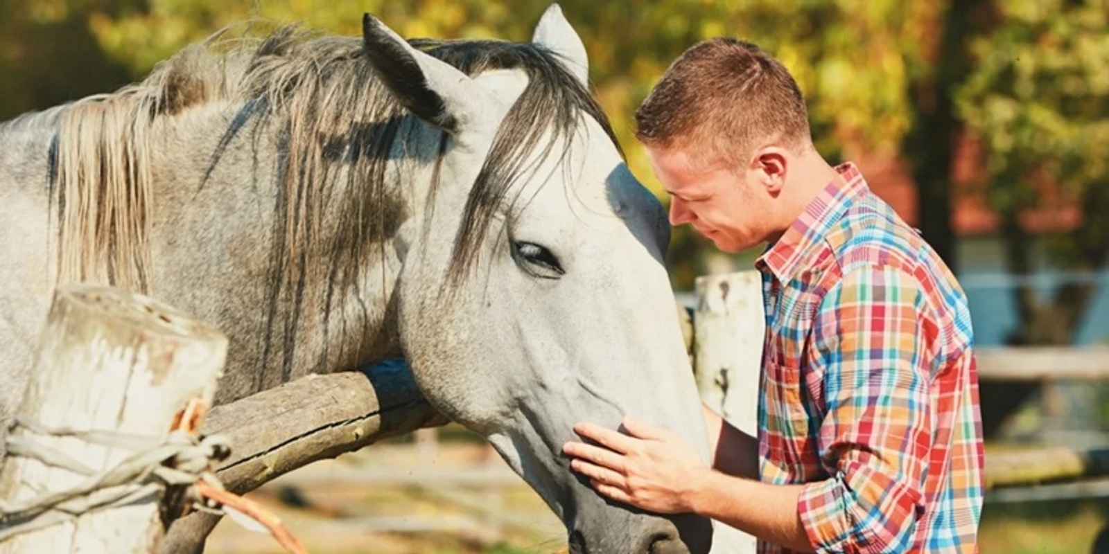 Banner image for Equine Therapy: Intro to Equine 