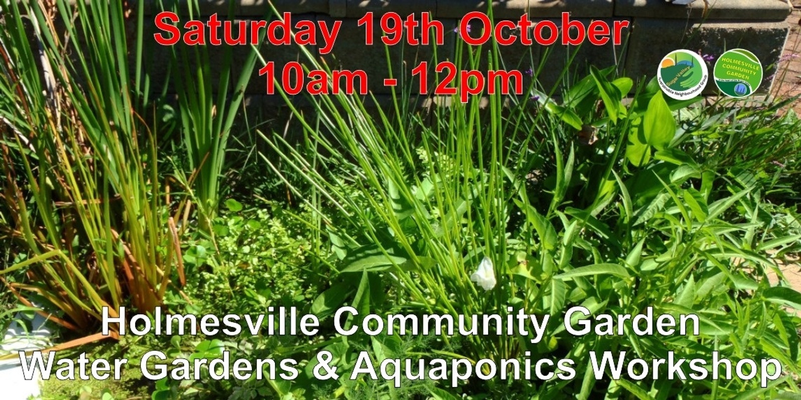 Banner image for Aquaponics workshop