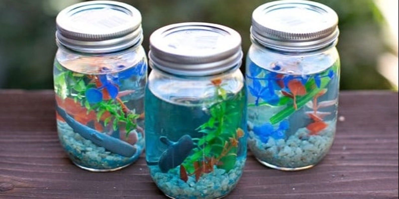 Banner image for Make your own Aquarium. 