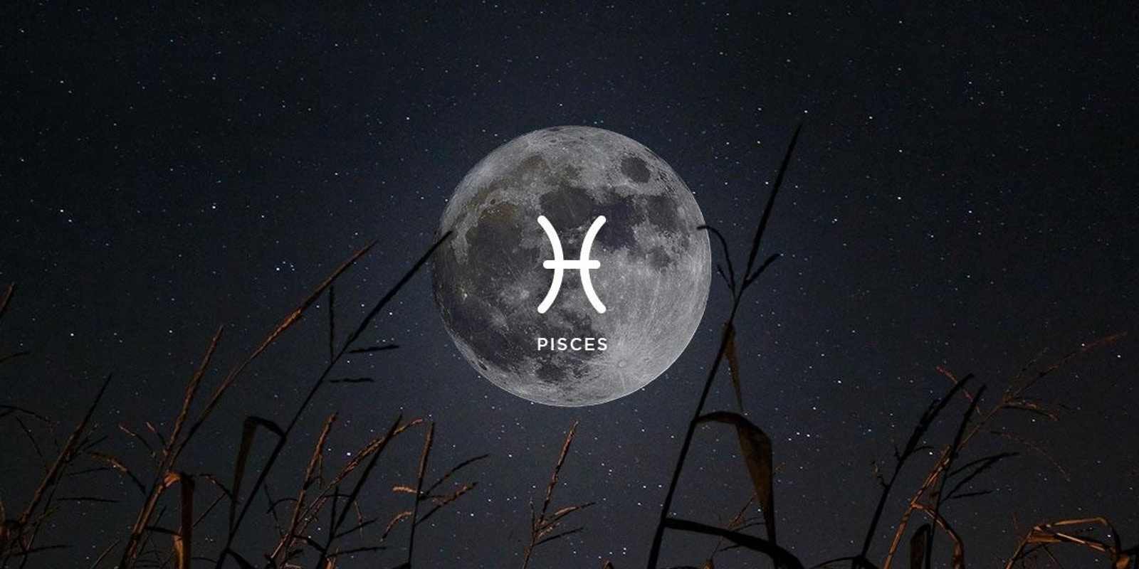 Banner image for Full Supermoon Lunar Eclipse in Pisces Meditation