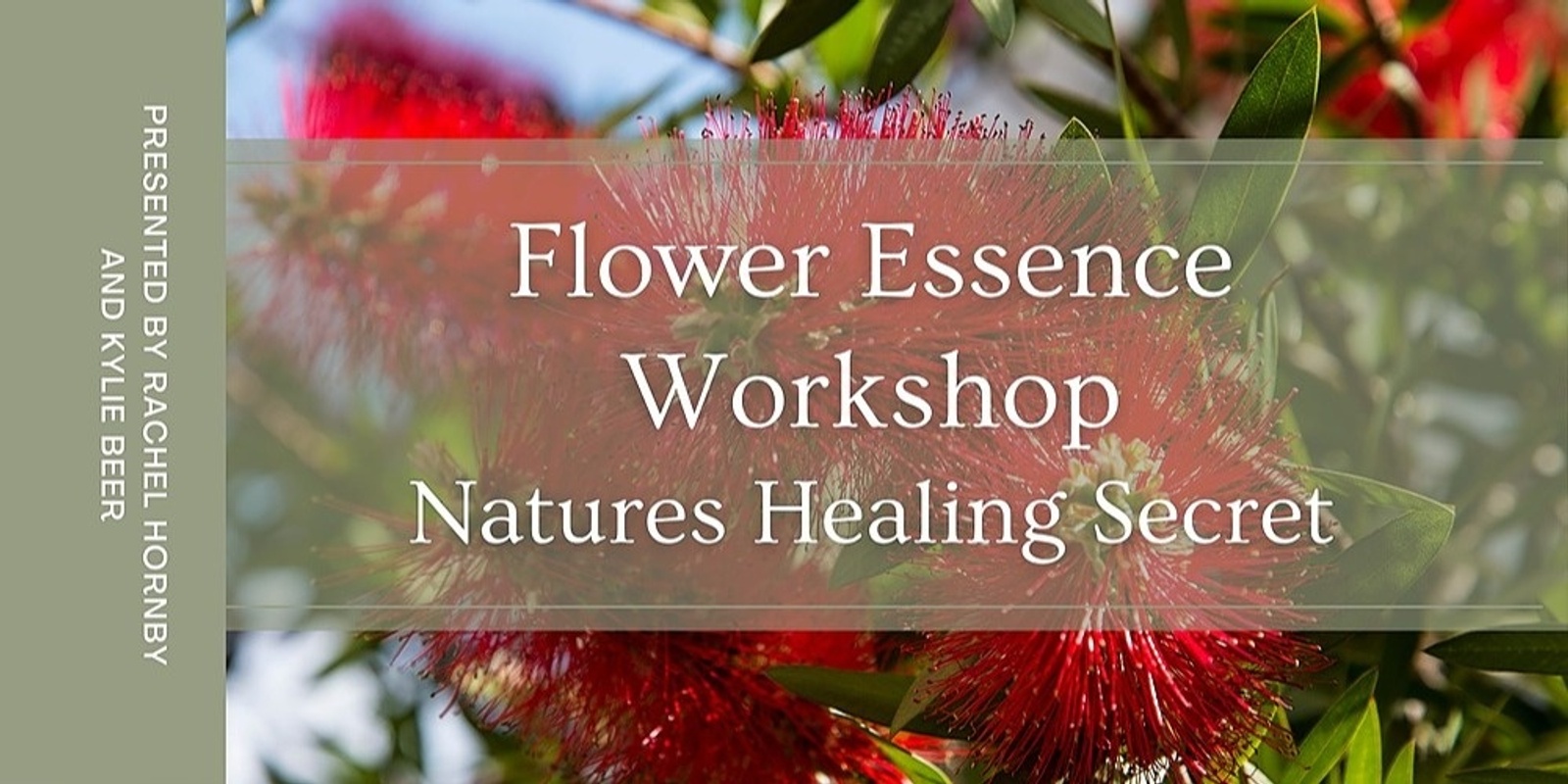 Banner image for  Natures Healing Secret - Flower Essence Workshops - 2nd April at Carpe Diem with Remi, Port Adelaide, SA.