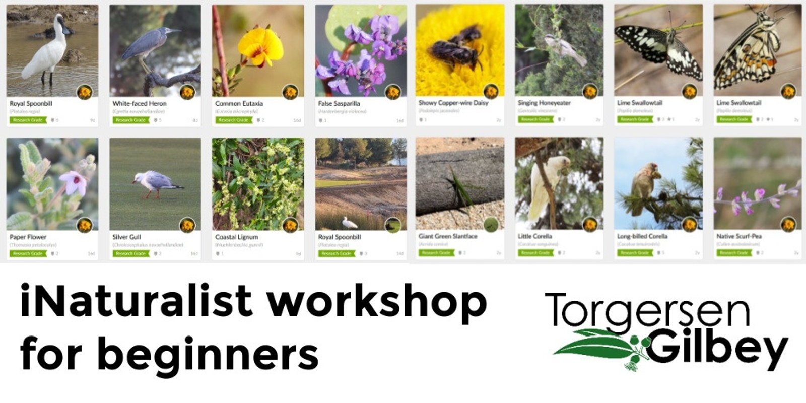 Banner image for iNaturalist workshop