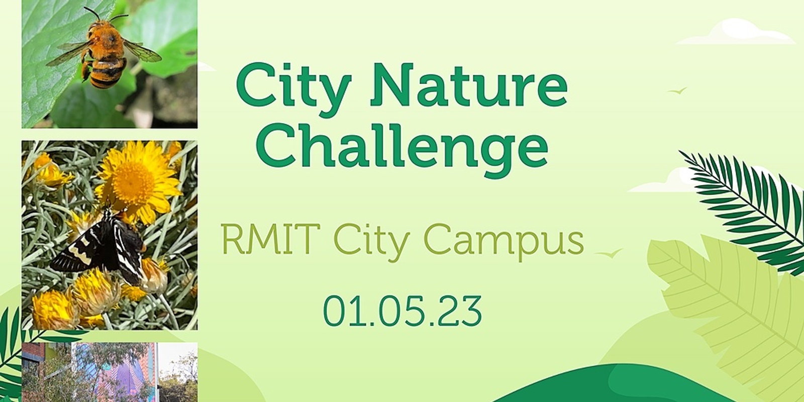 Banner image for City Nature Challenge 2023: RMIT University - City Campus BioBlitz
