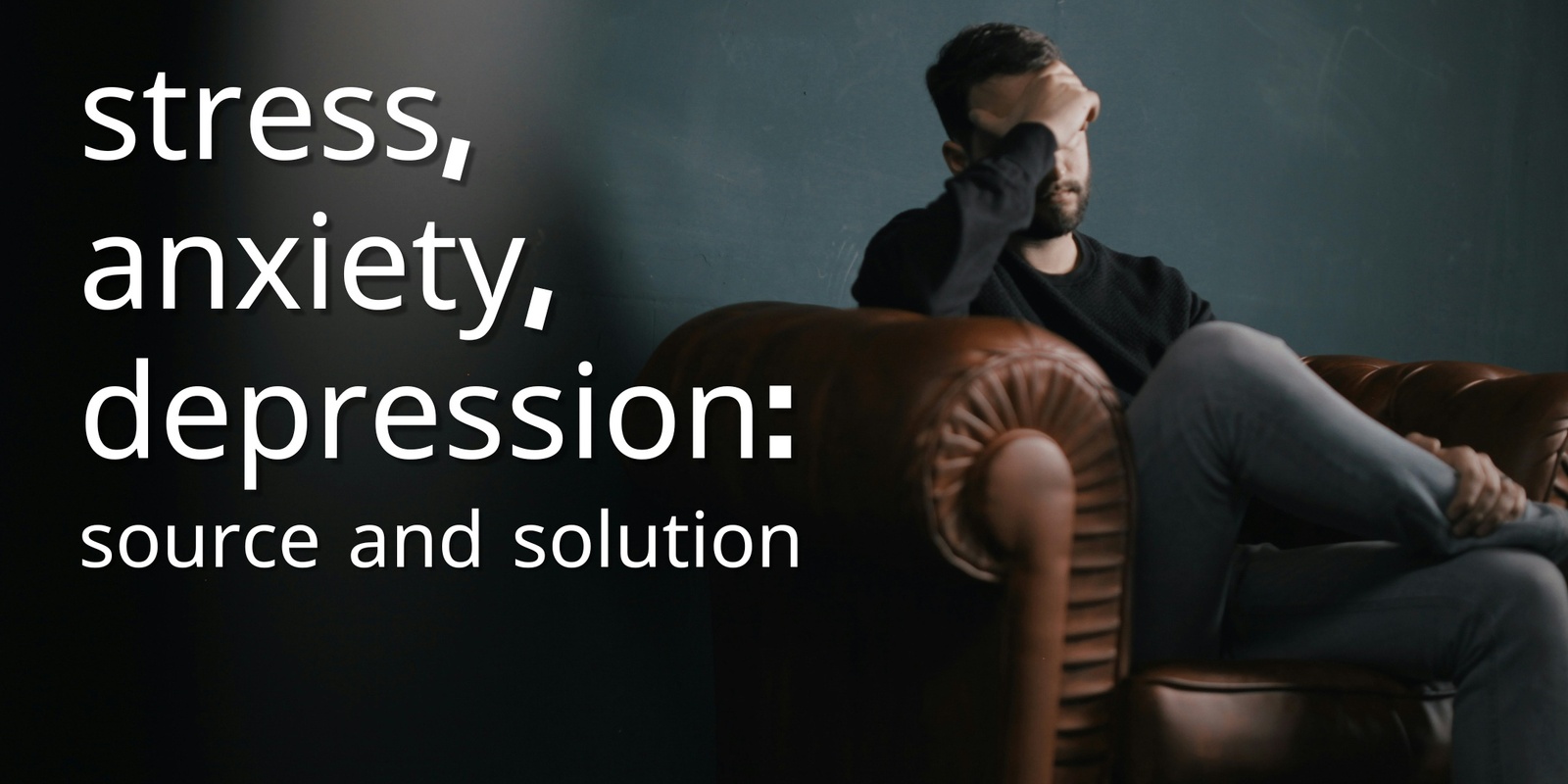 Banner image for Stress, Anxiety, Depression: The Source and the Solution