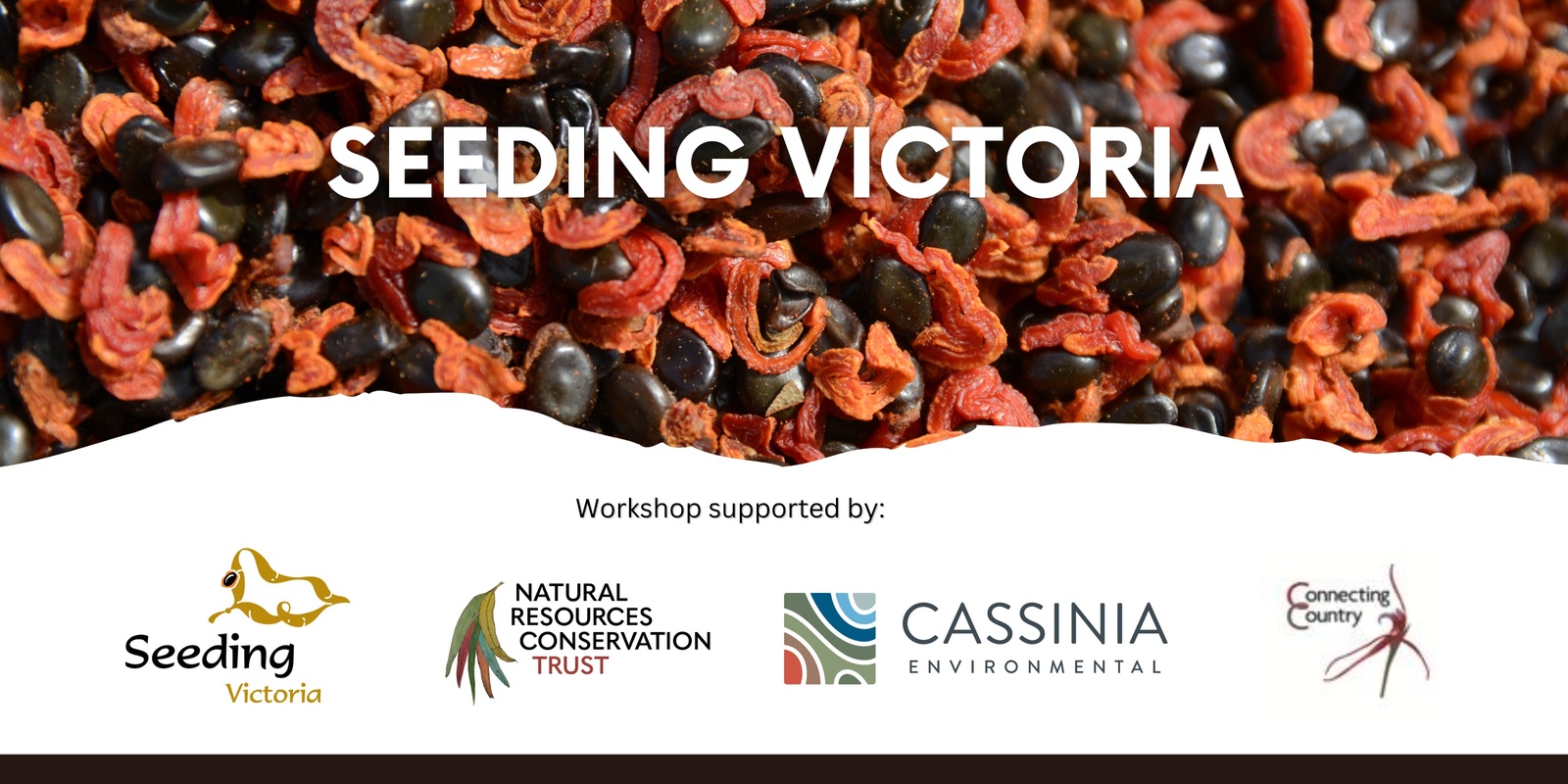 Banner image for Seed Collection Workshop - Castlemaine