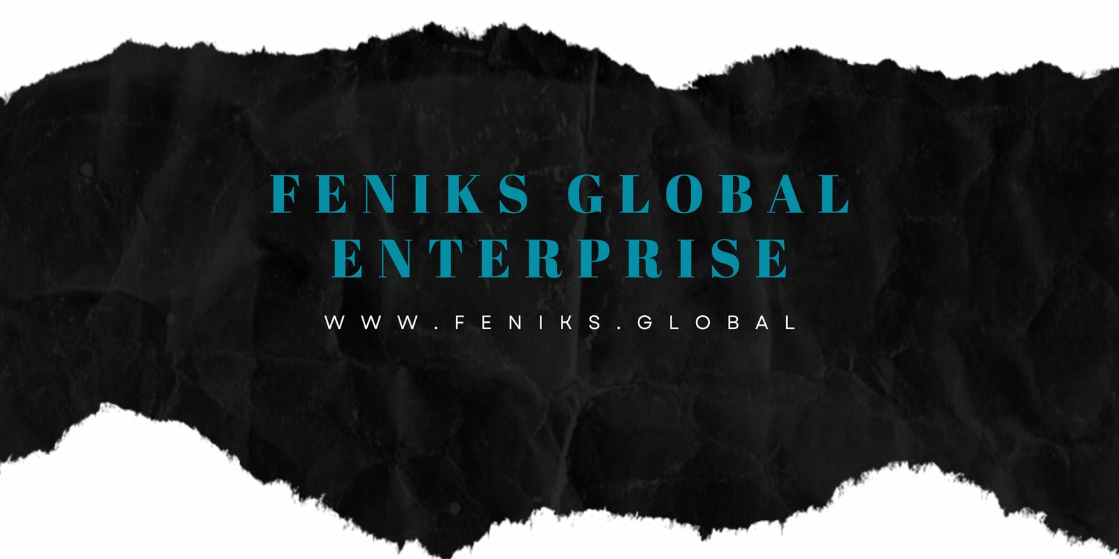Banner image for Feniks Global Private Meeting ONLINE PRESENTATION 2024-2