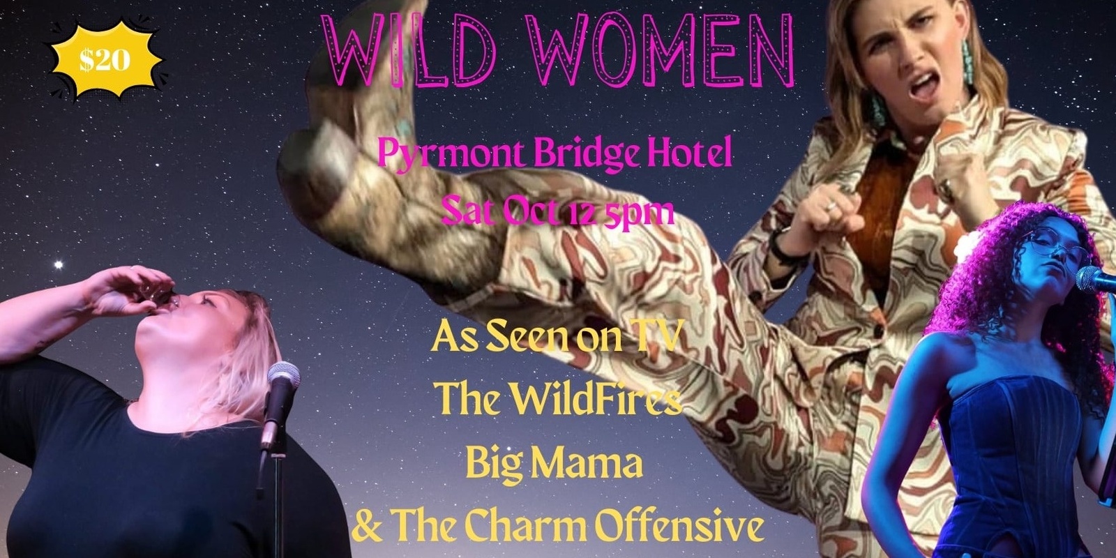 Banner image for Wild Women in Music 