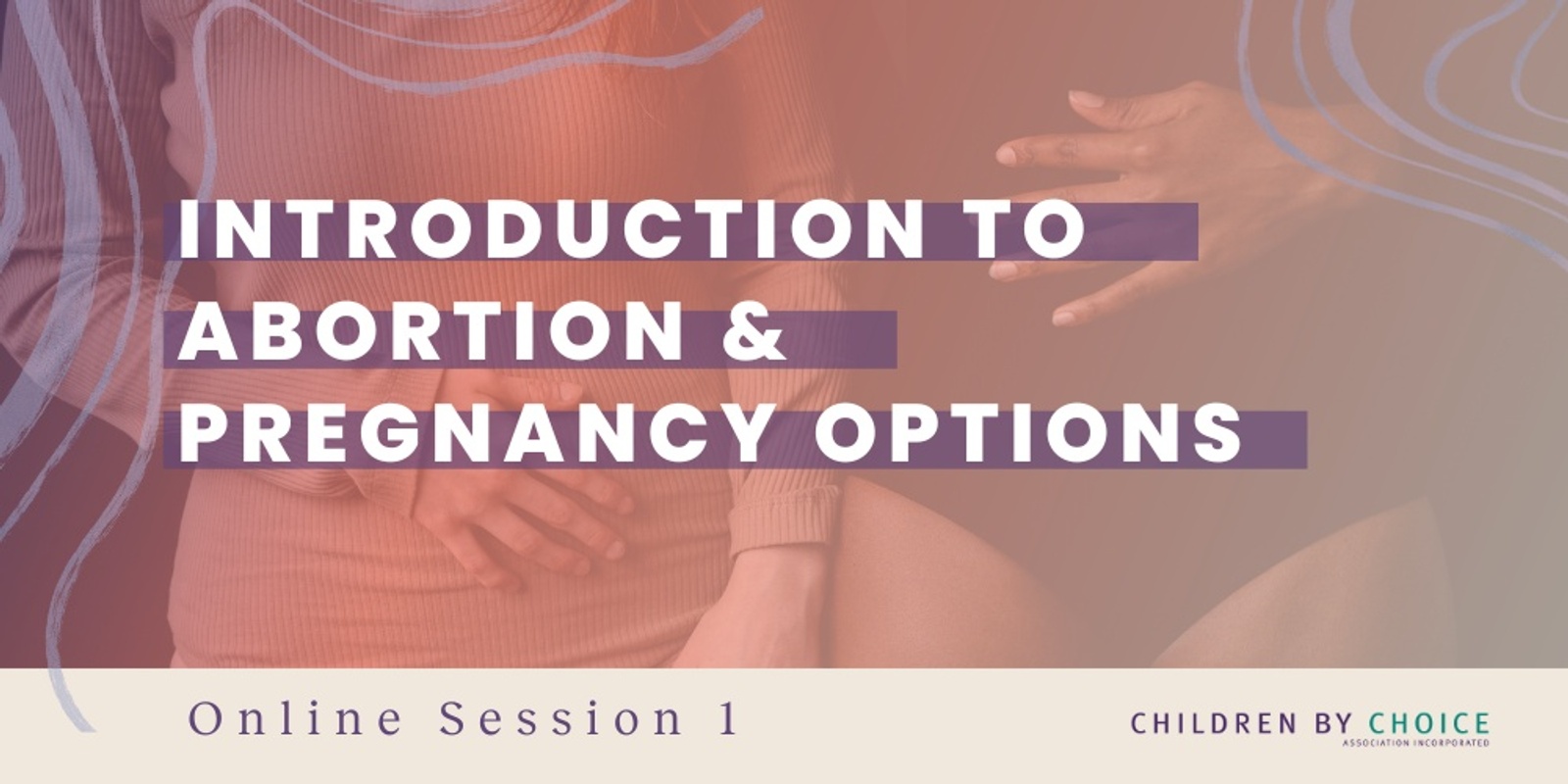 Banner image for Introduction to Abortion and Pregnancy Options 