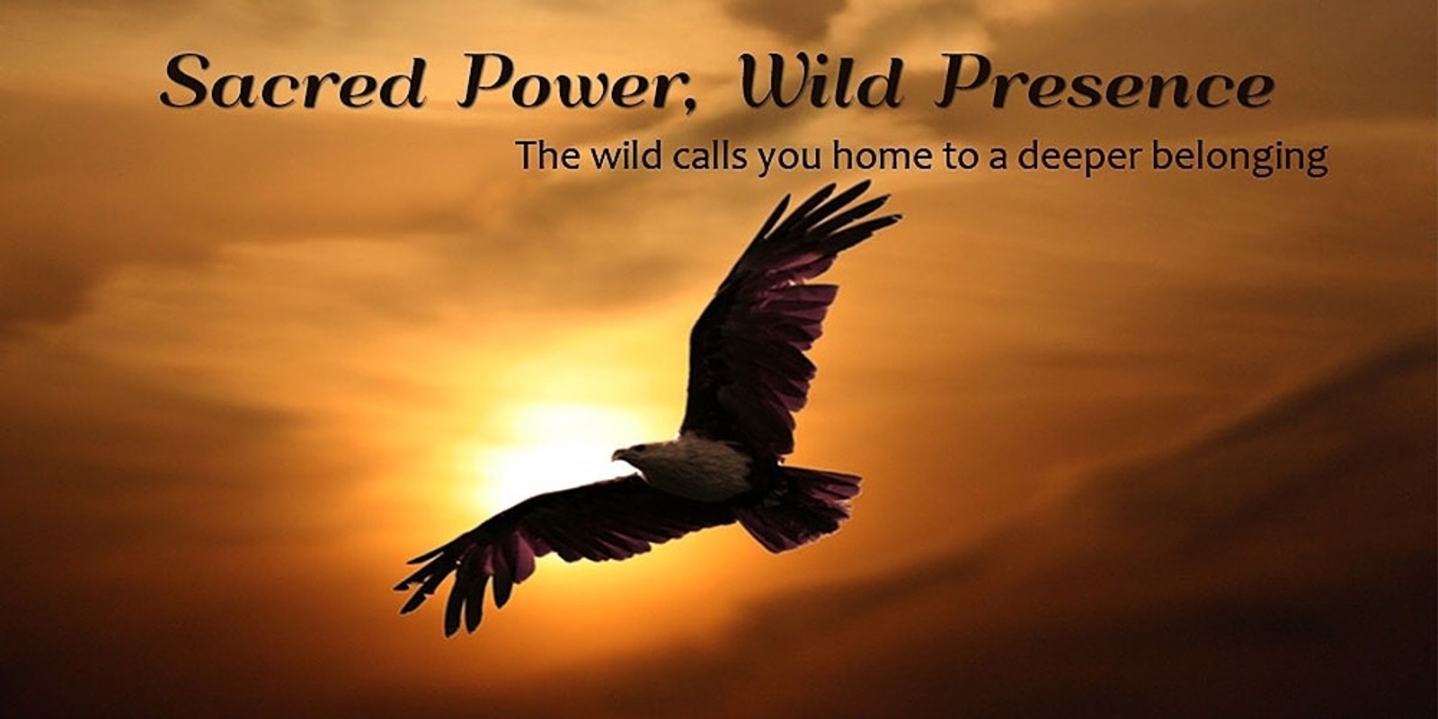 Banner image for Sacred Power, Wild Presence