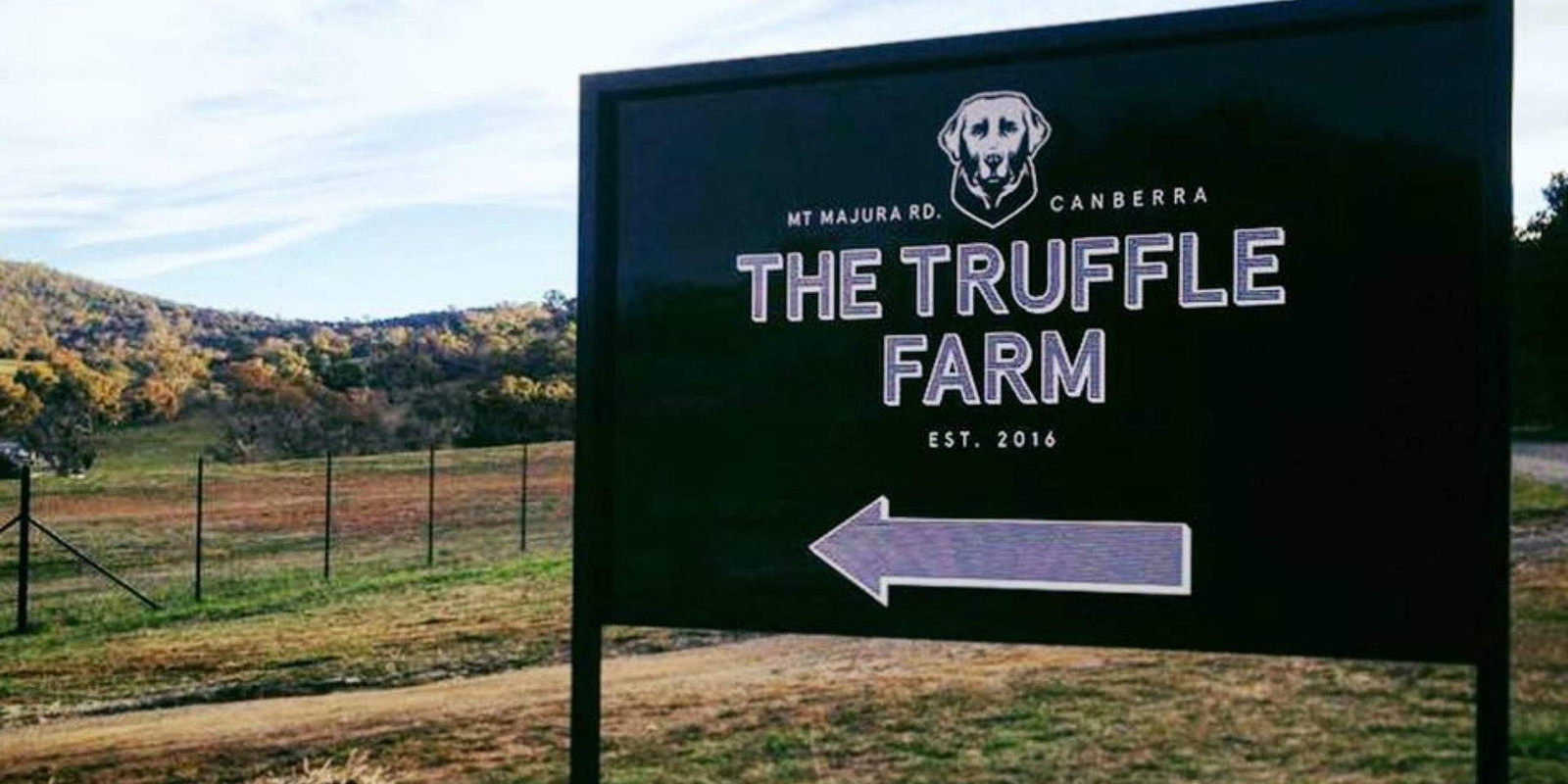 Banner image for Mount Majura Vineyard Long Lunch at The Truffle Farm