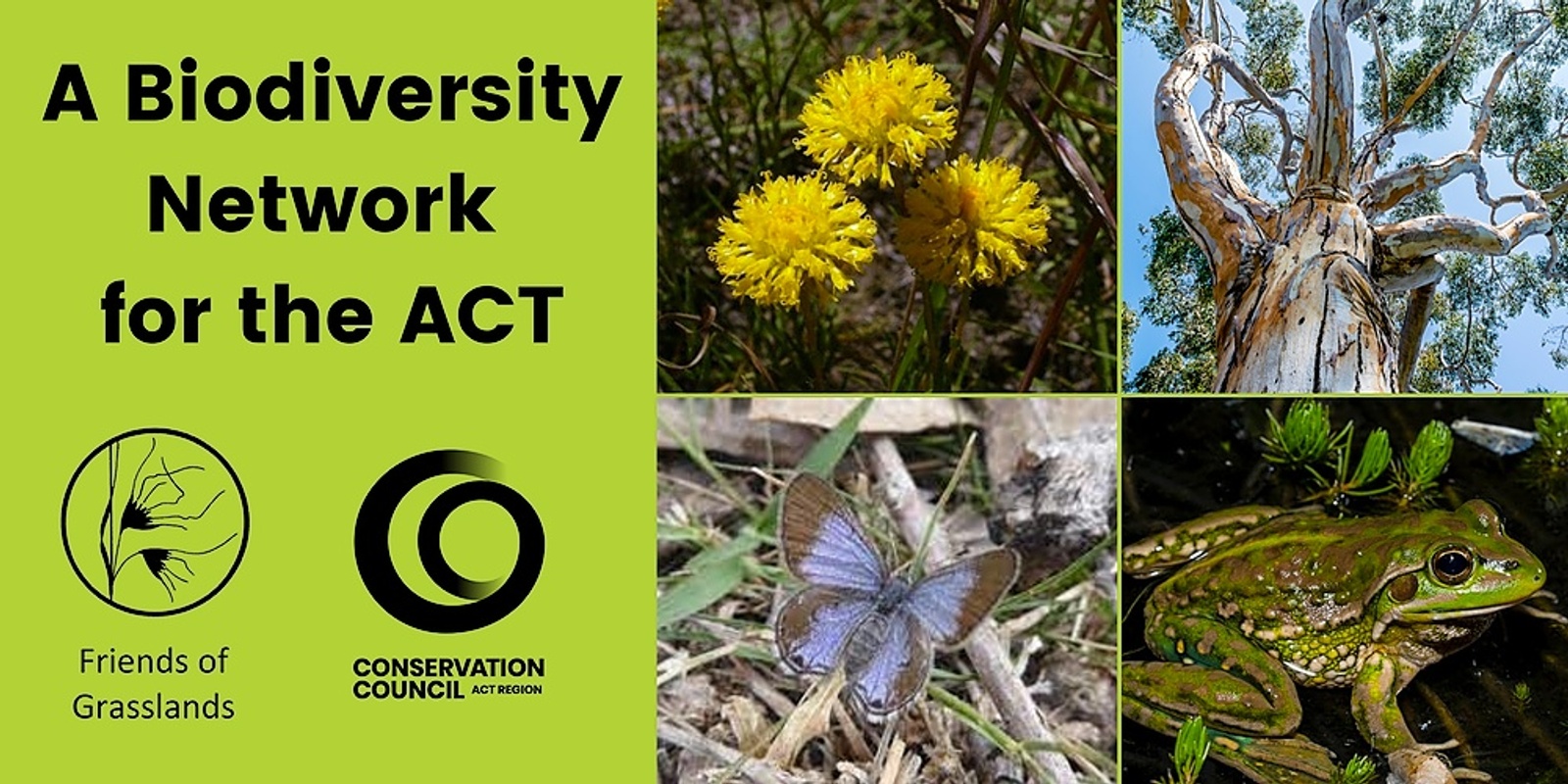 Banner image for A Biodiversity Network for the ACT