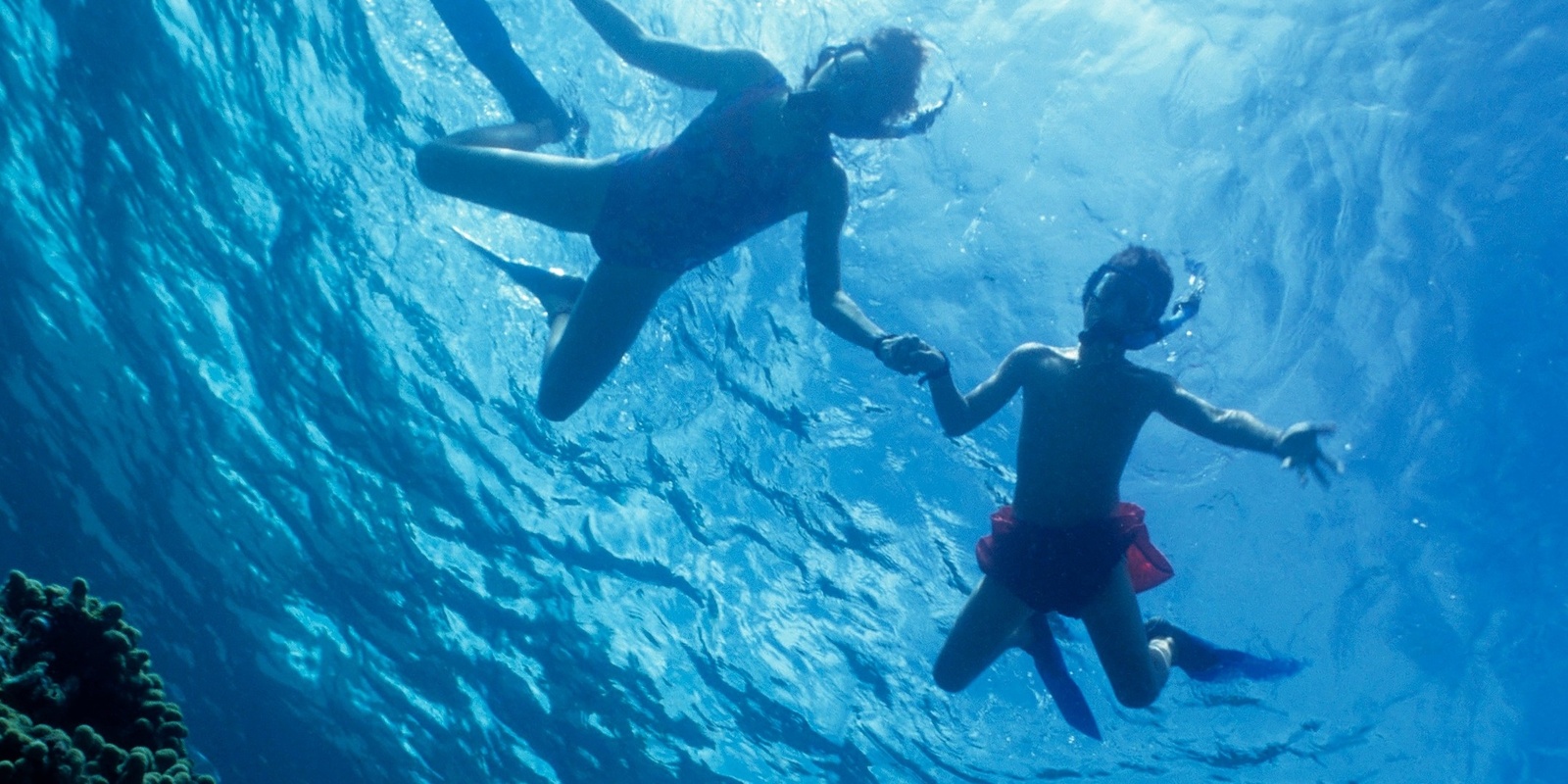 Banner image for Snorkelling at Bare Island (two session times)