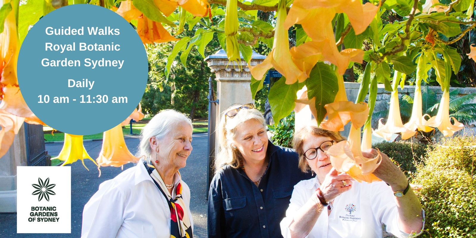 Banner image for Daily Guided Walks of the Royal Botanic Garden Sydney 2024