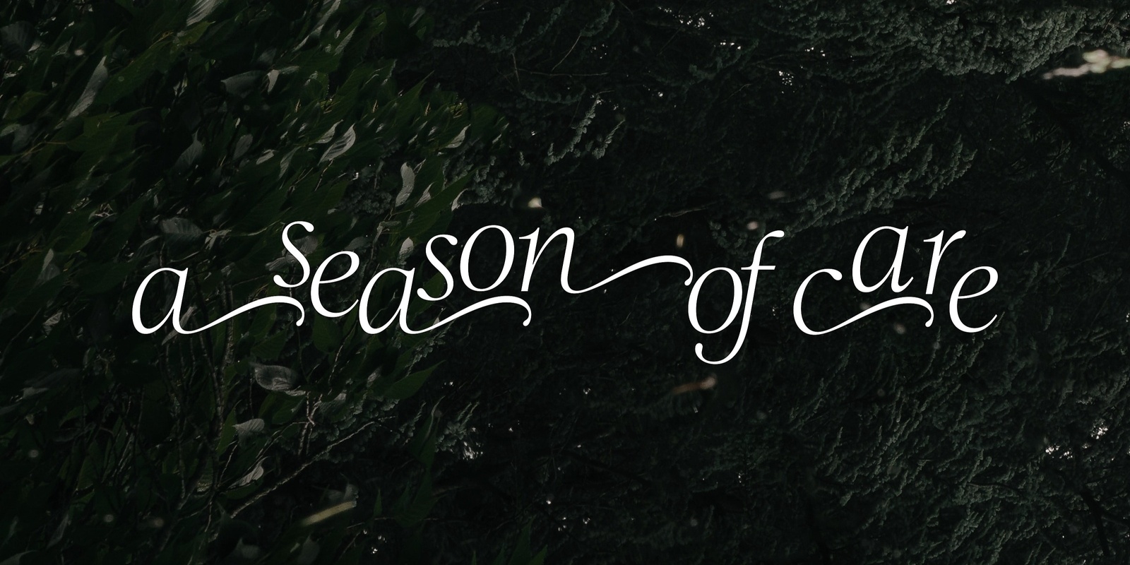 Banner image for Season of Care: Gathering