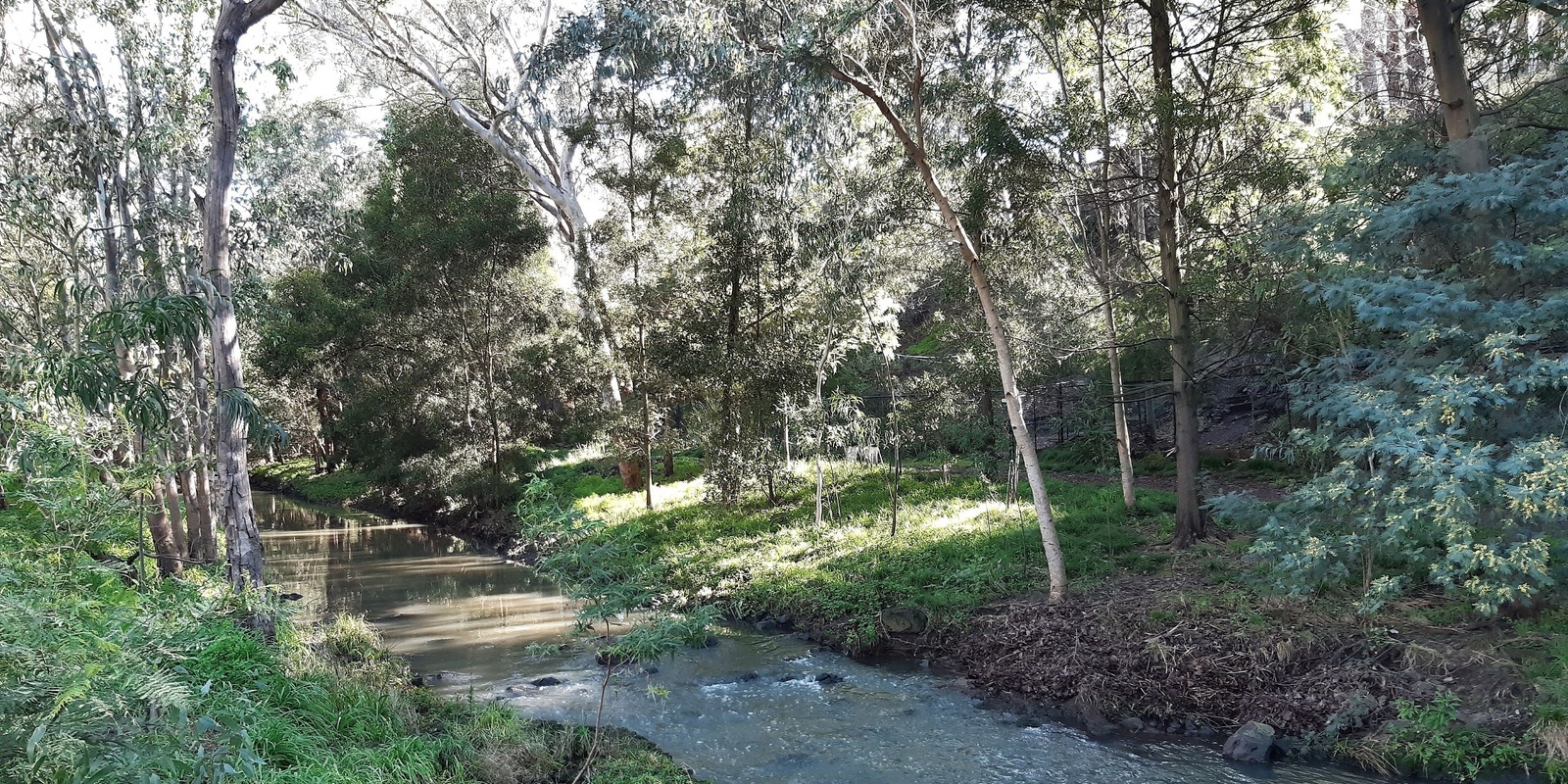 Banner image for Up the Creek on the Darebin Creek Trail - Grade 3 (Medium)