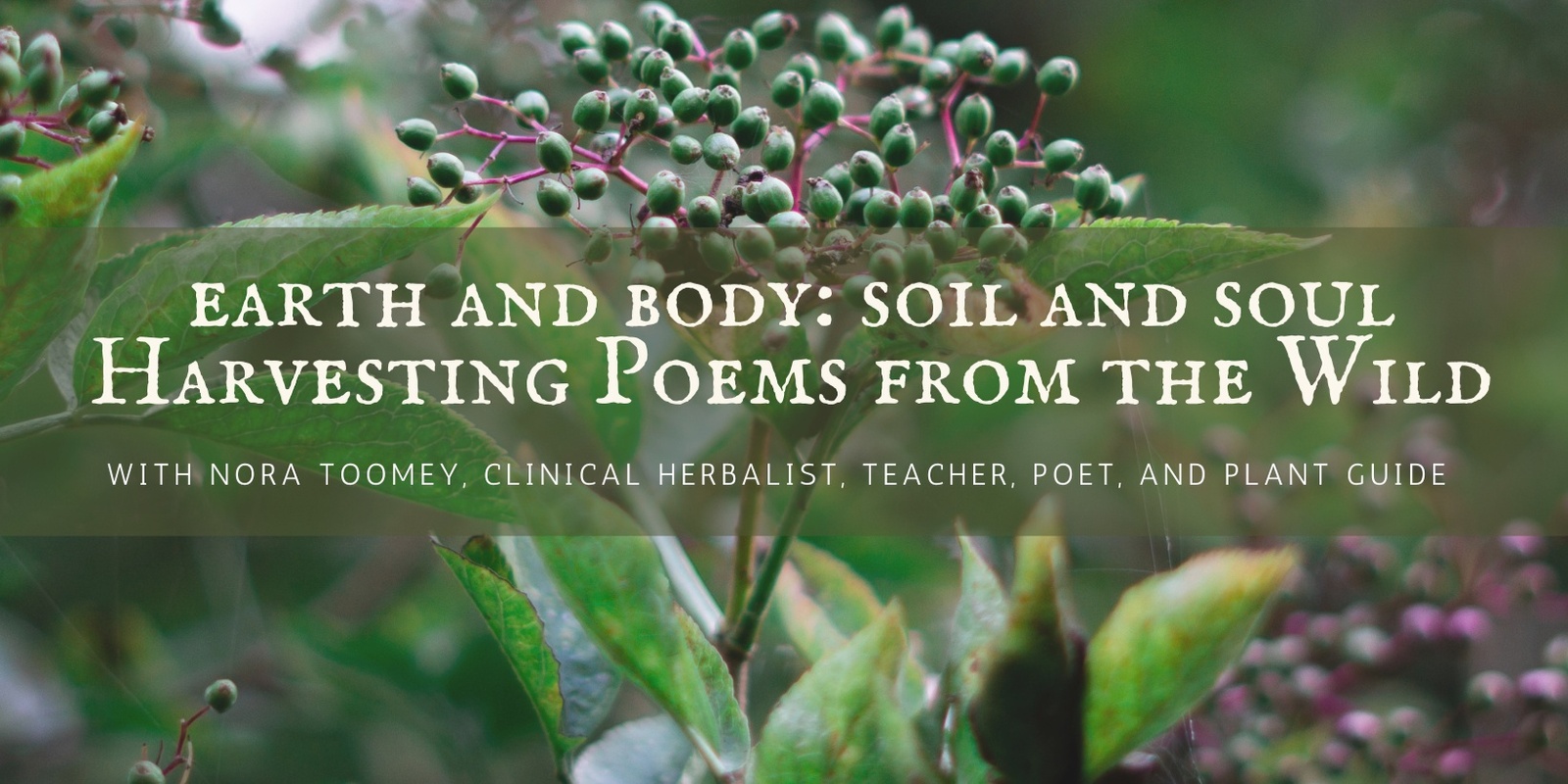 Banner image for Earth and Body, Soil and Soil: Harvesting Poems from the Wild