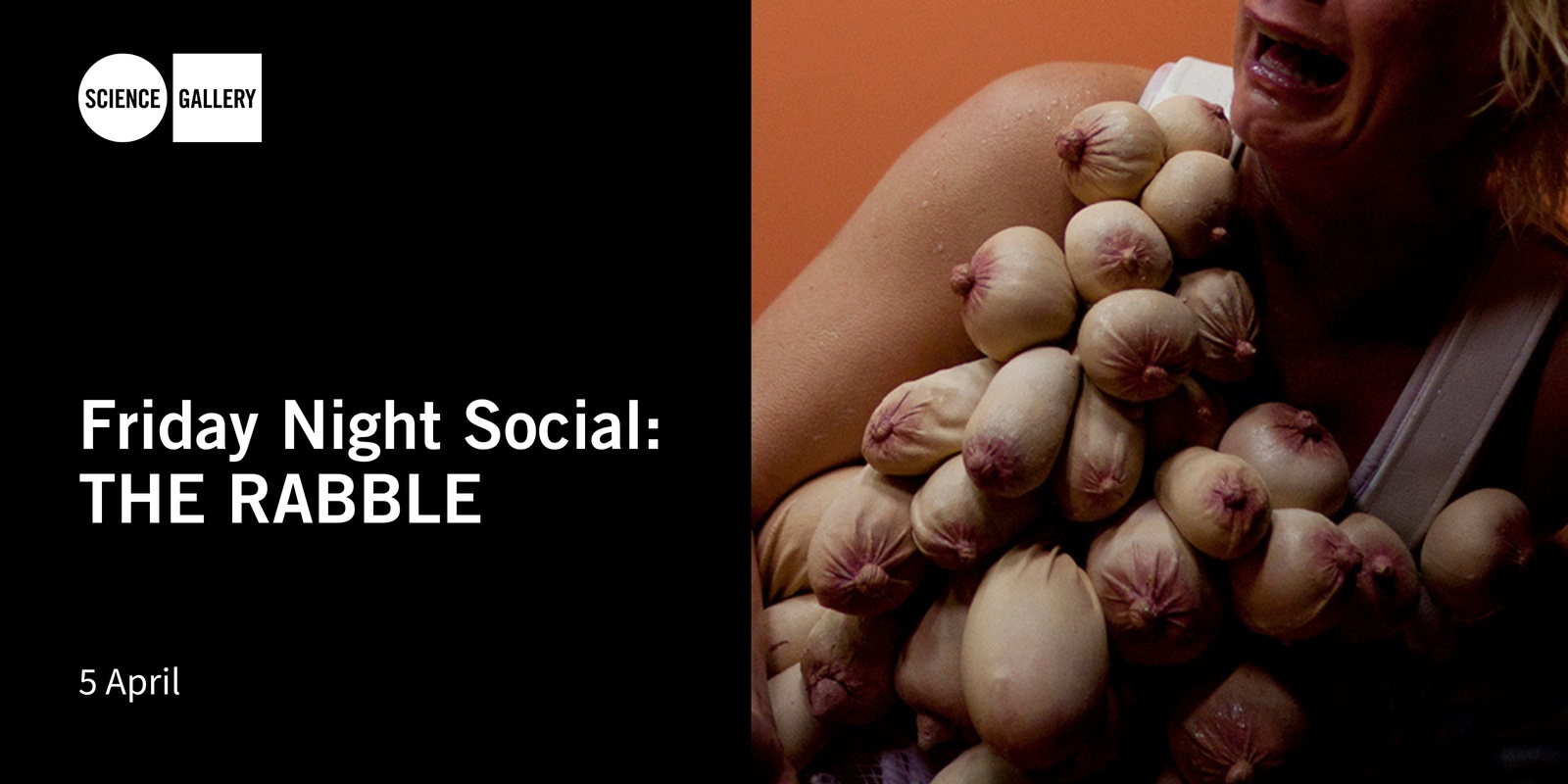 Banner image for Friday Night Social: THE RABBLE