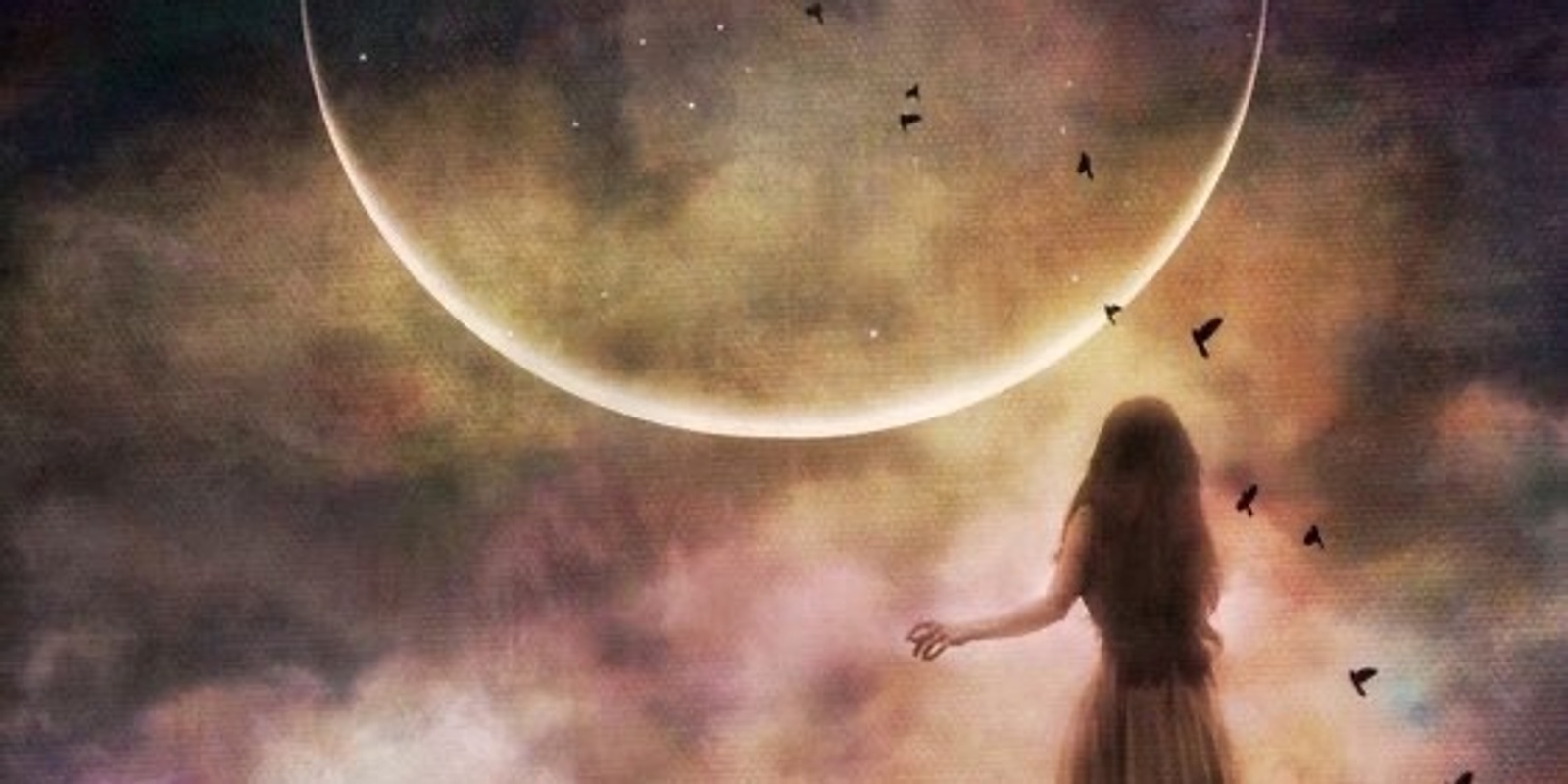 Banner image for Medicine Dance Sanctuary - October 🌒 dark moon 🌕 full moon