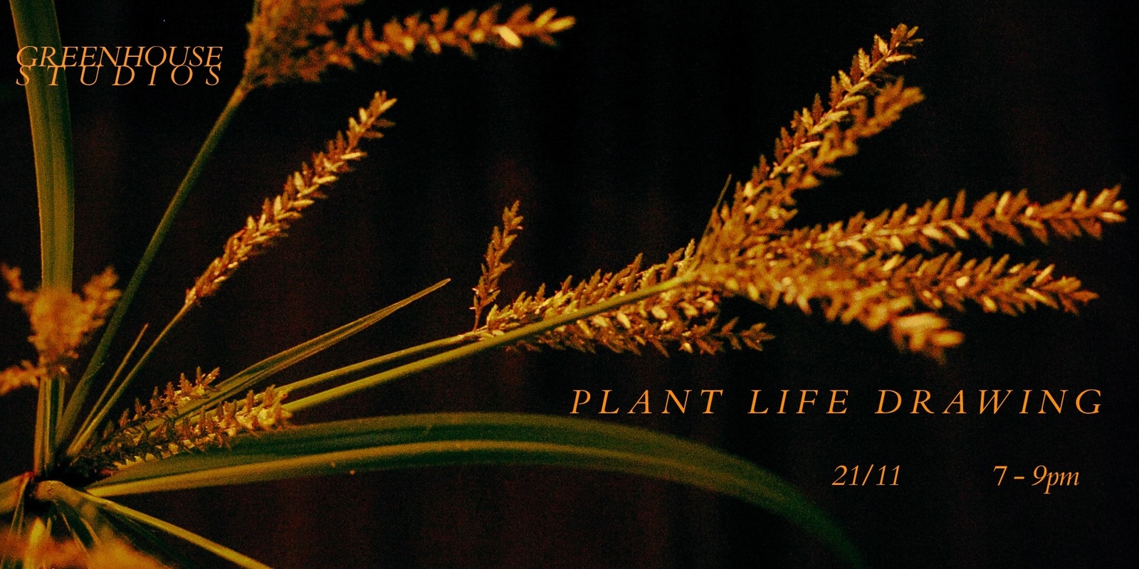 Banner image for Plant Life Drawing