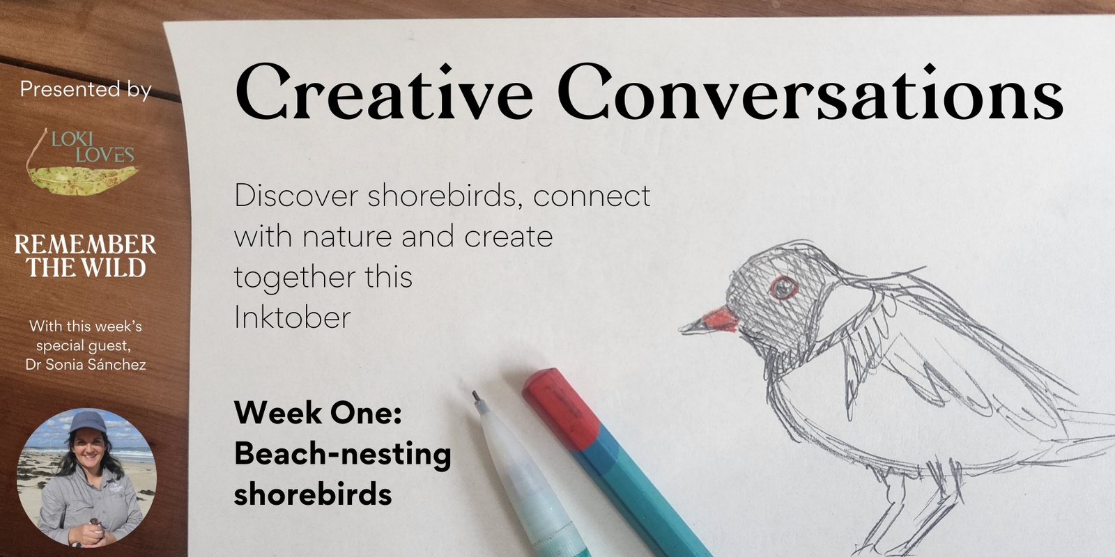 Banner image for Inktober Creative Conversations: Learn and Draw Beach-nesting Birds
