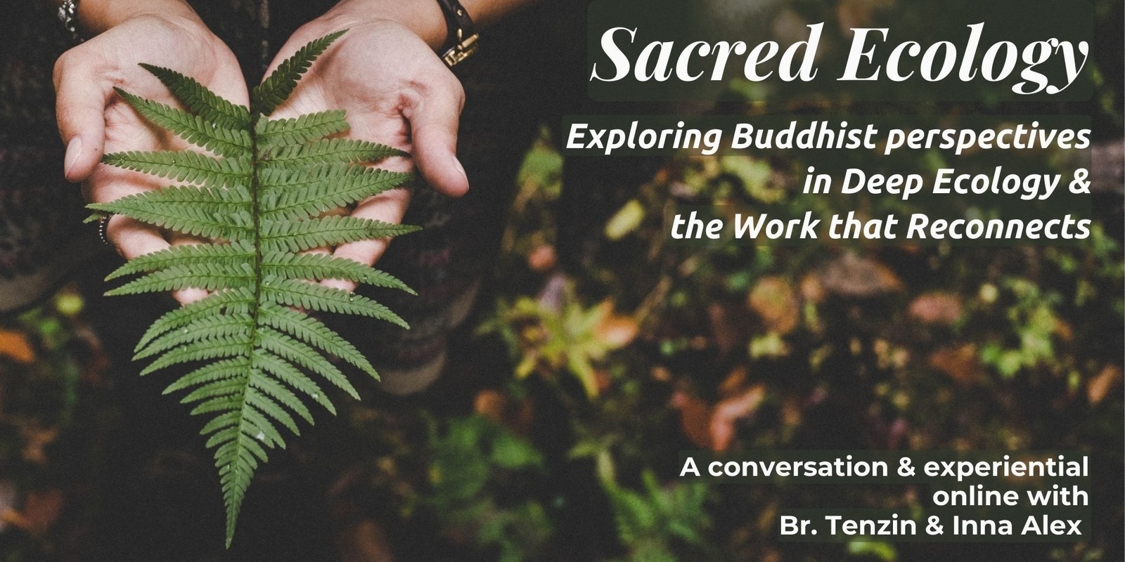 Banner image for Sacred Ecology - Exploring Buddhist perspectives in the Work That Reconnects 