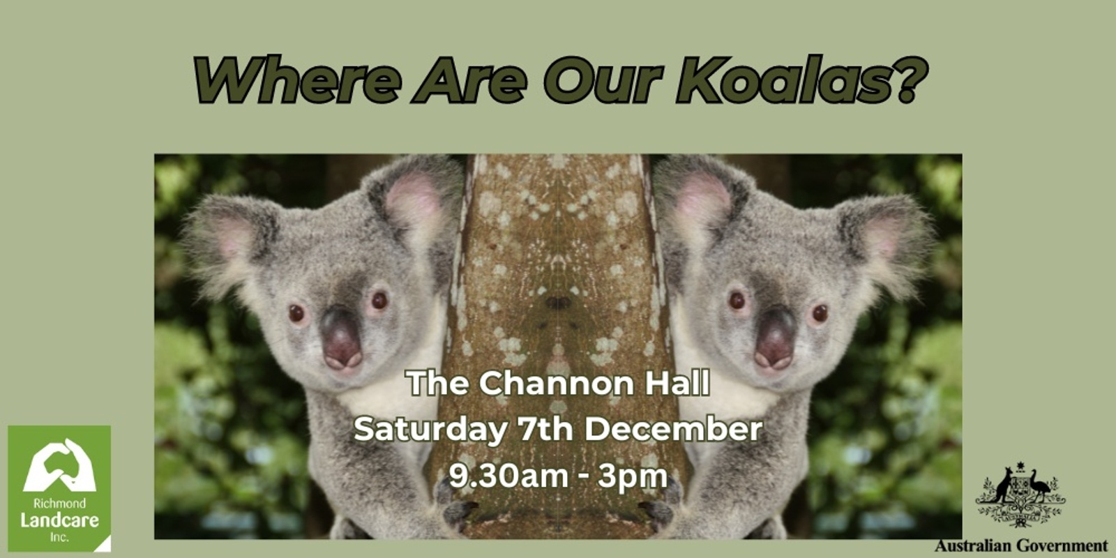 Banner image for Where Are Our Koalas?  The Channon