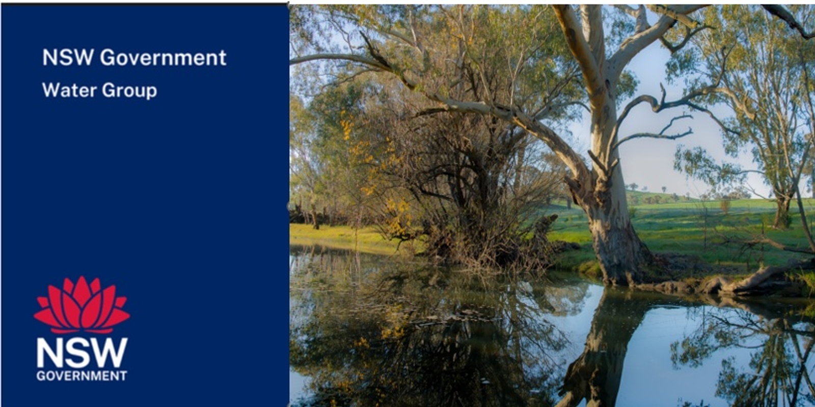 Banner image for Community consultation - draft Water Sharing Plan for the Belubula Regulated River Water Source 2025 - Canowindra