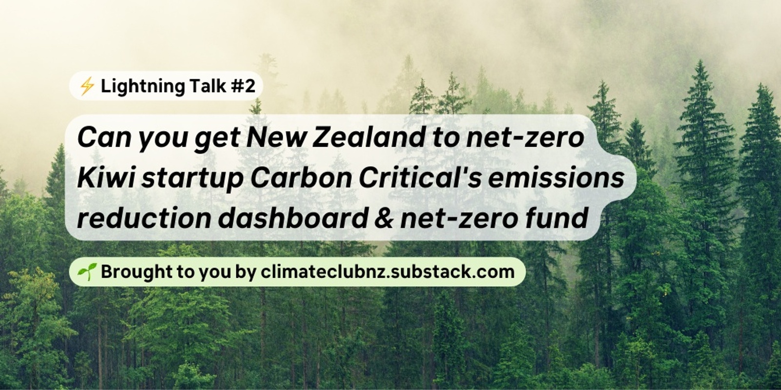 Can you get New Zealand to net-zero? Kiwi startup Carbon Critical's ...