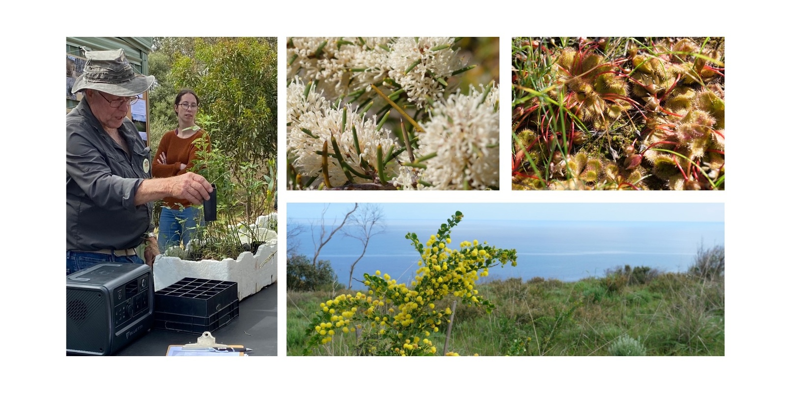 Banner image for Spring, Sausages and Seedlings