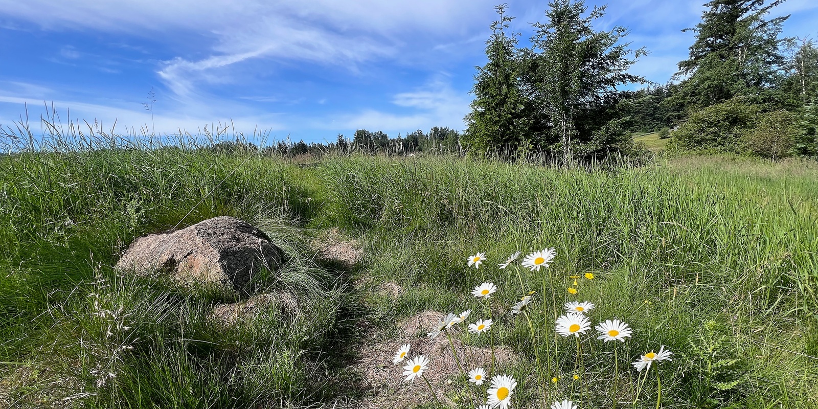 Banner image for Warm Data Lab Experience at Bay State Cohousing