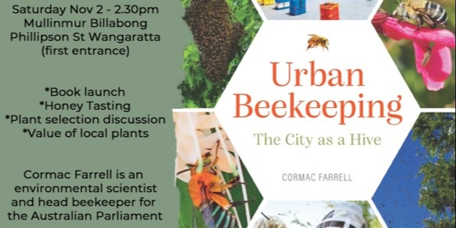 Banner image for Urban Beekeeping with Cormac Farrell