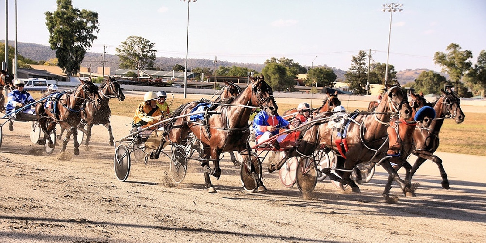 Banner image for Albury Harness Racing Carnival of Cups