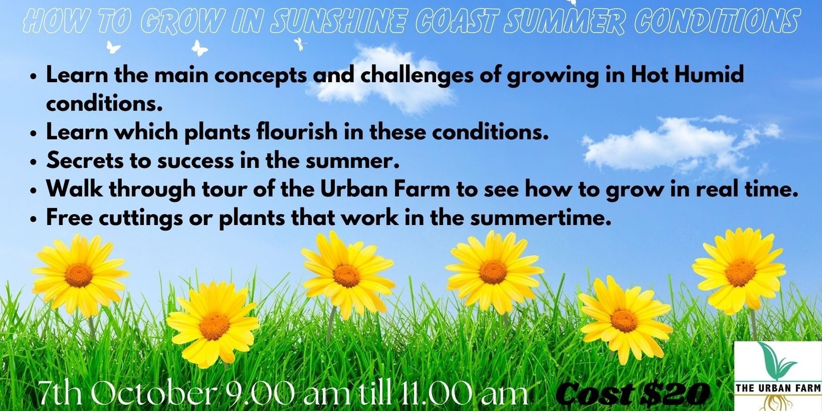 Banner image for How to grow in the Sunshine Coast Summer Condition