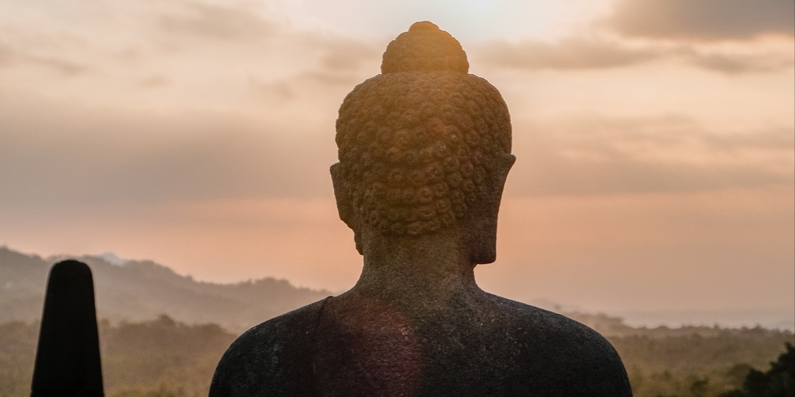 Banner image for Exploring Buddhism - Module 1: Exploring the Mind