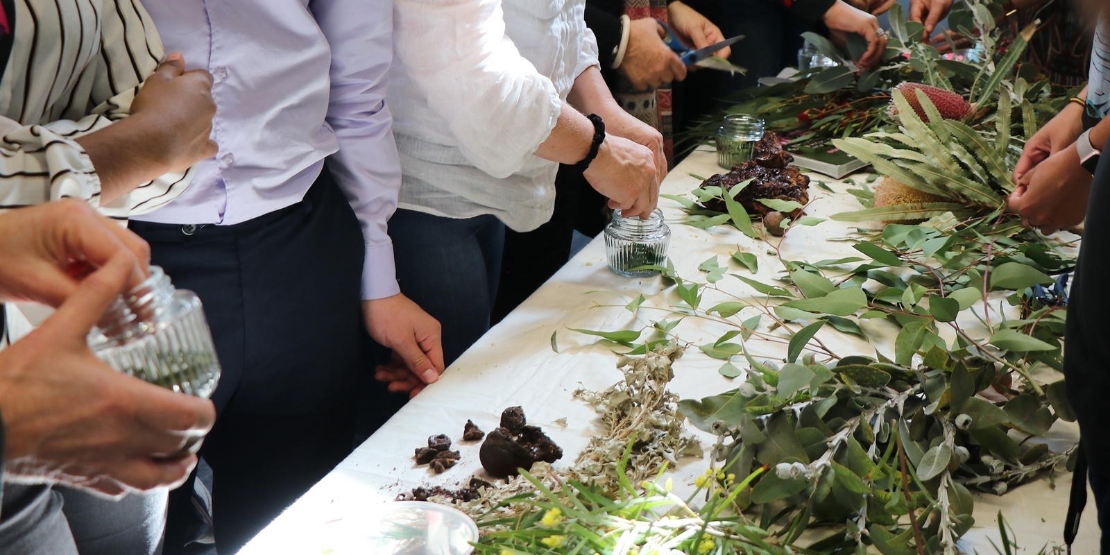 Banner image for Noongar Bush Medicine with Vivienne Hansen - NAIDOC Week 2023