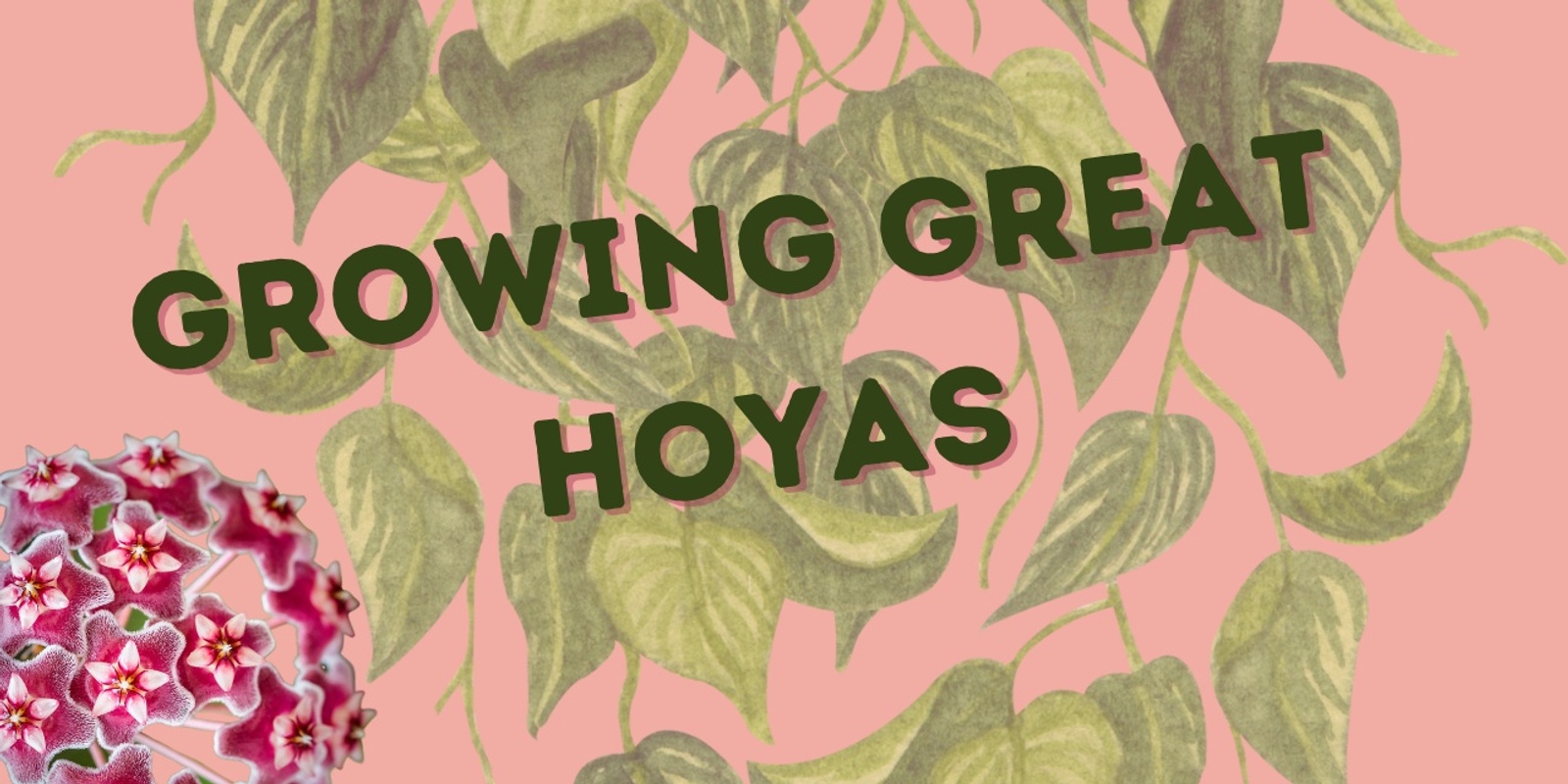 Banner image for Growing Great Hoyas with Jo