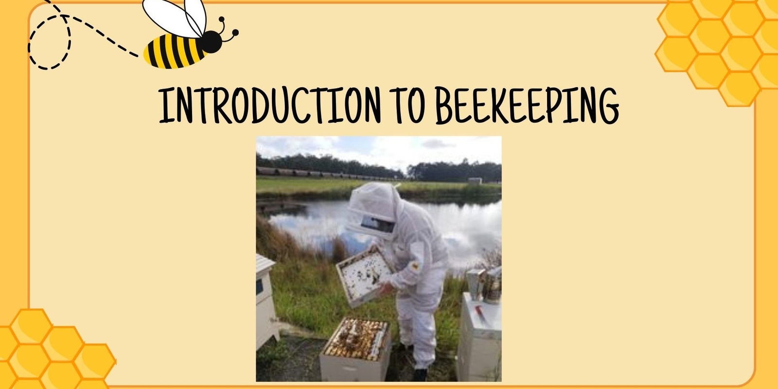 Banner image for Introduction to beekeeping