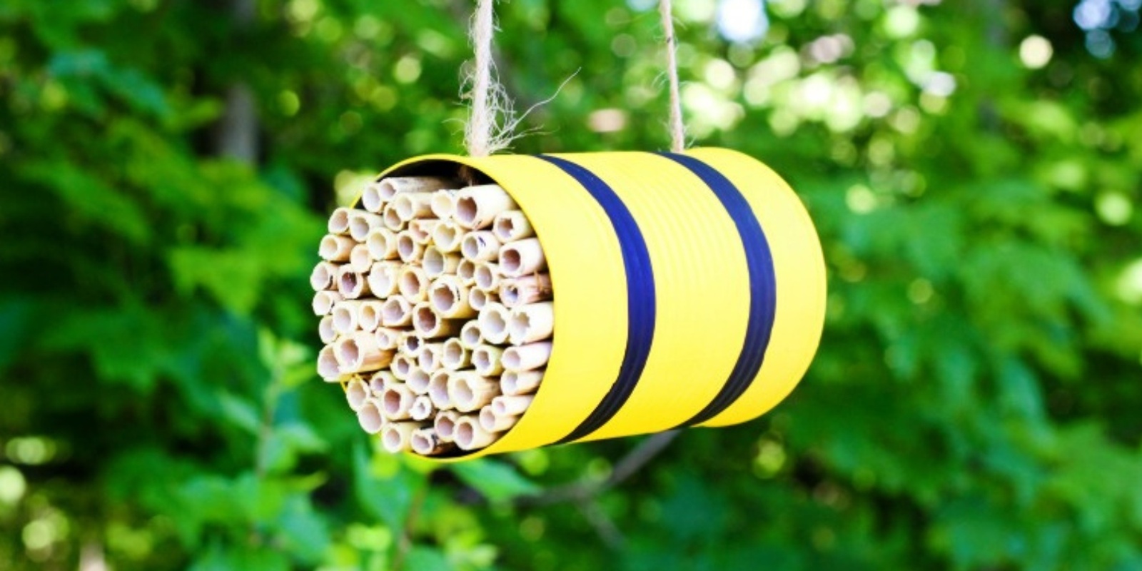 Banner image for MoR Bee Hotel Workshops