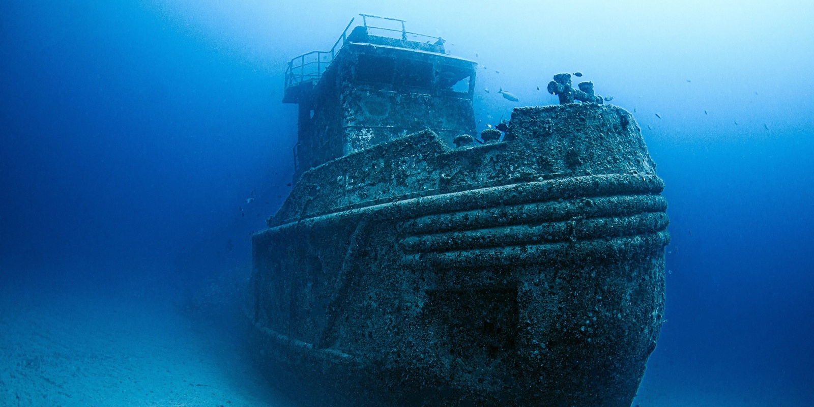 Banner image for Volvo Ocean Lovers Festival - Ocean Lovers Talks - VR SHIPWRECKS