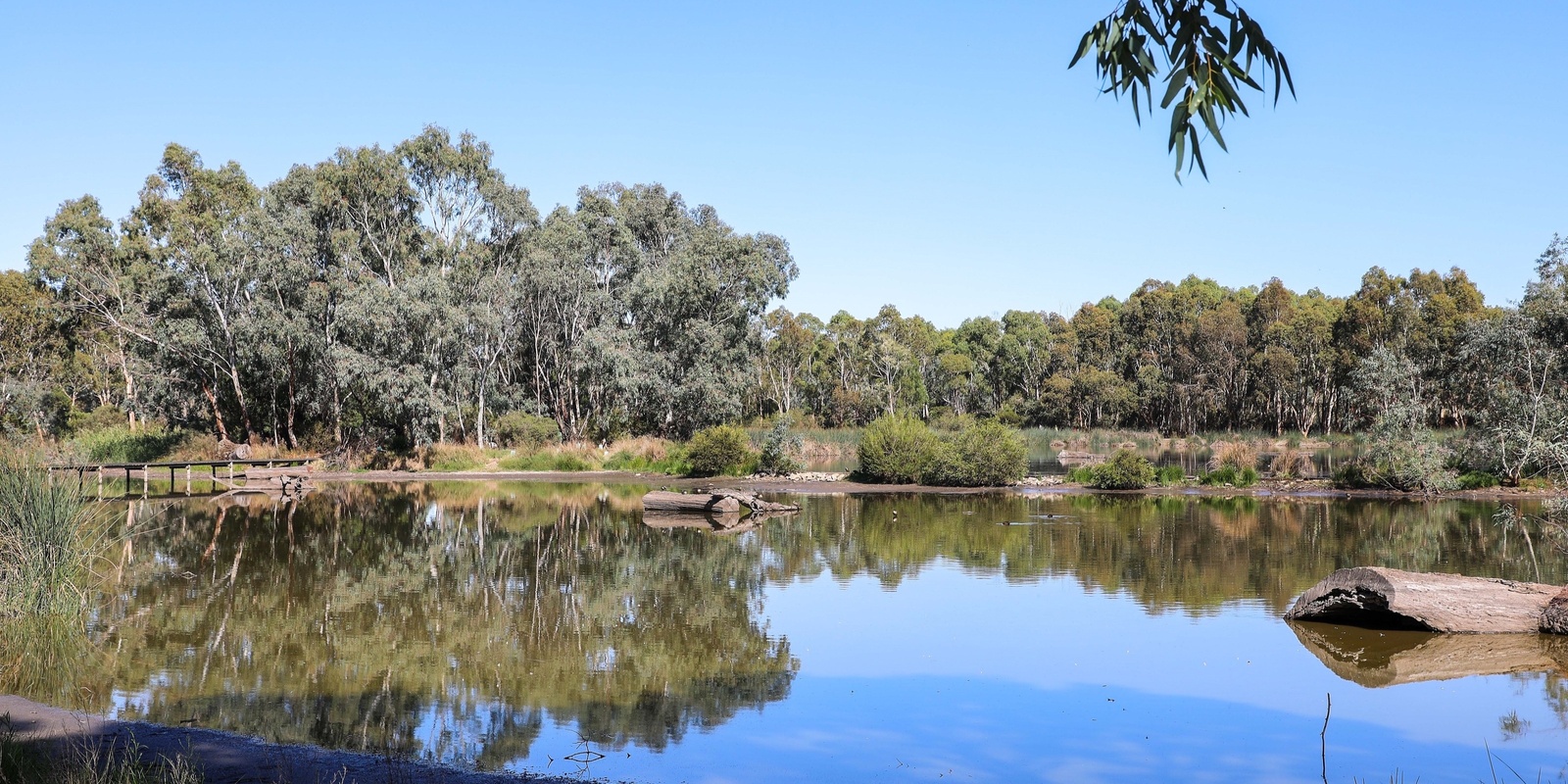 Banner image for Wildlife of Laratinga Wetland