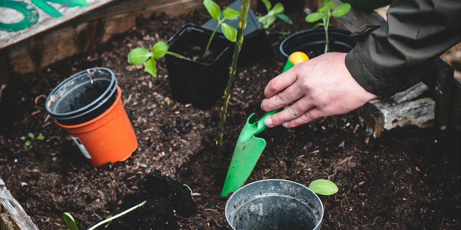 Banner image for Healthy Edible Garden Series: Maintenance - Planting