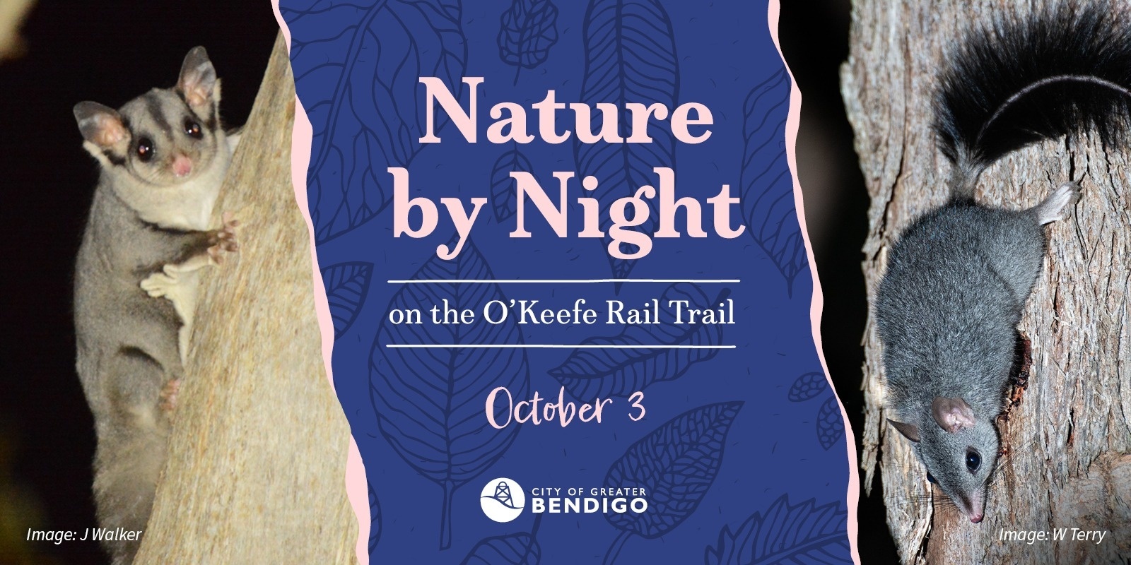 Banner image for Nature by Night on the O'Keefe Rail Trail