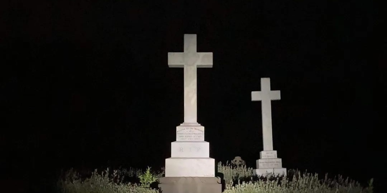 Banner image for Friends of Karori Cemetery - Evening Tour (July 2024)