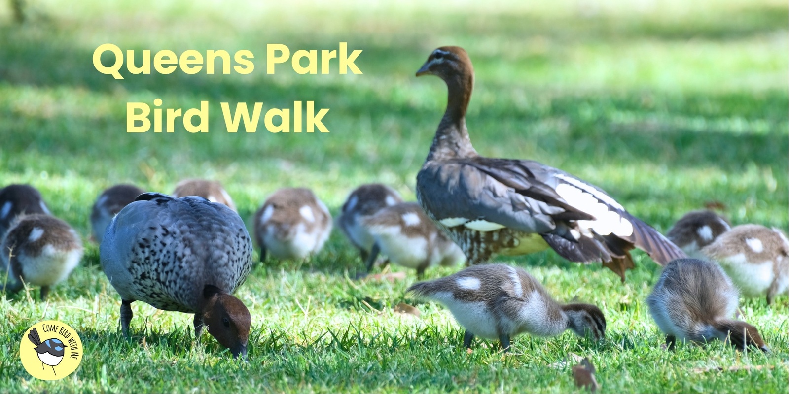 Banner image for Queens Park Bird Walk - November